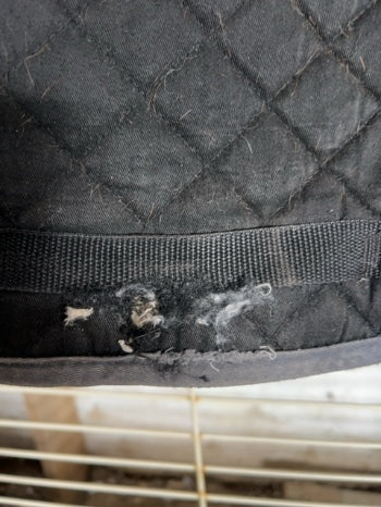 Black Centaur Saddle Pad, Full