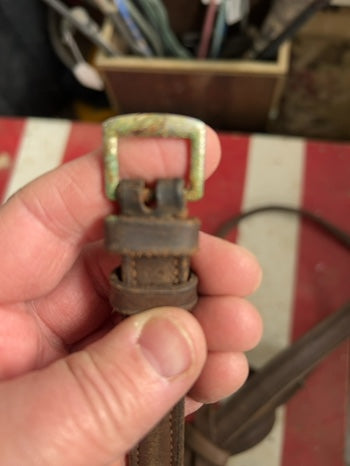 Brown Standing Martingale, Full