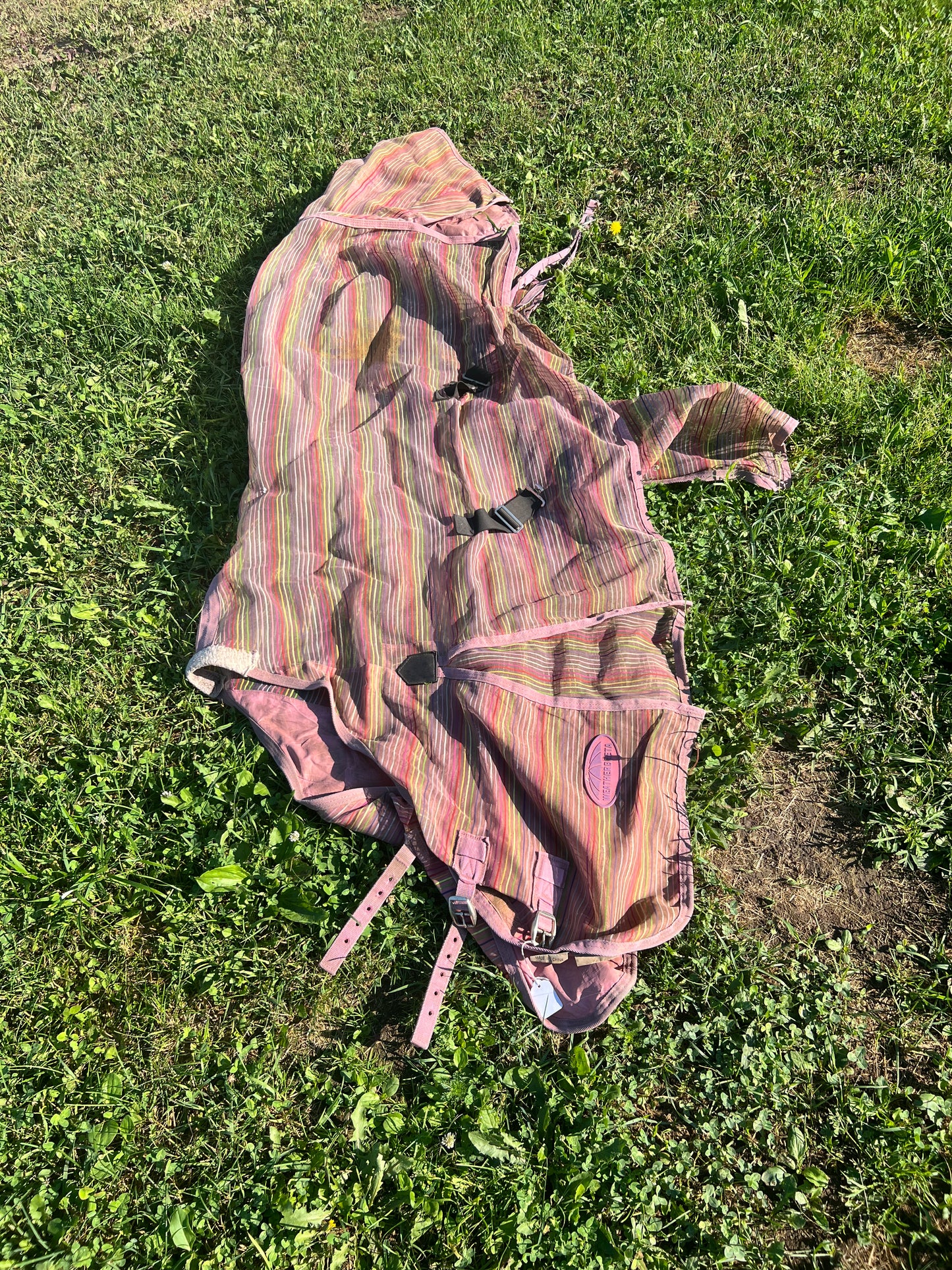 Pink/Purple Stripe Weatherbeeta Fly Sheet, 66"