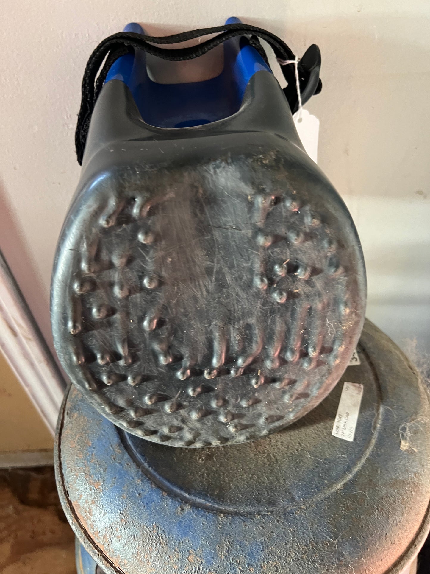 Blue Davis Poultice Boot, 3