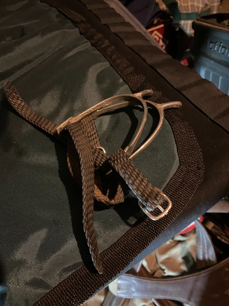 Spurs with nylon strap, 1"