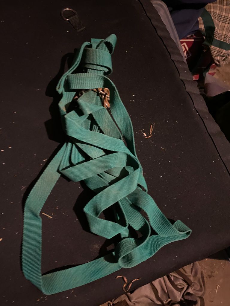 Green with Chain Lunge Line