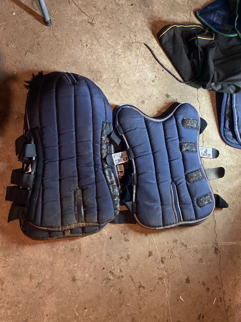 Blue Eskadron Shipping Boots - set of 4, Horse