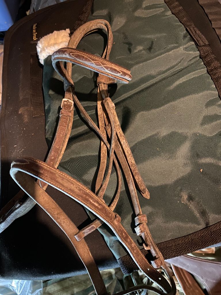 oak Fancy Stitch Headstall with laced reins, full