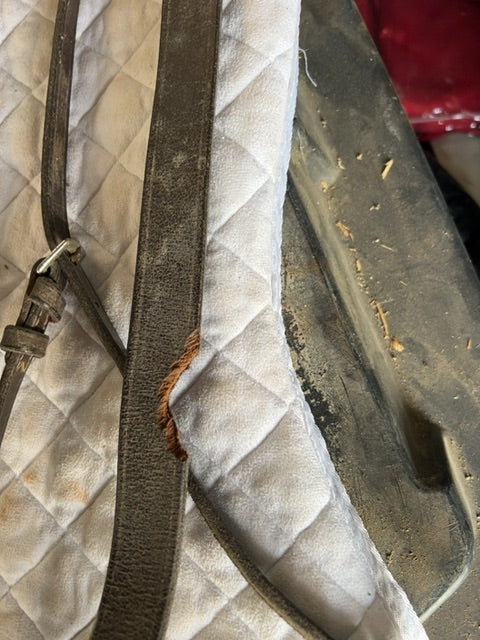 Brown Standing Martingale, Full