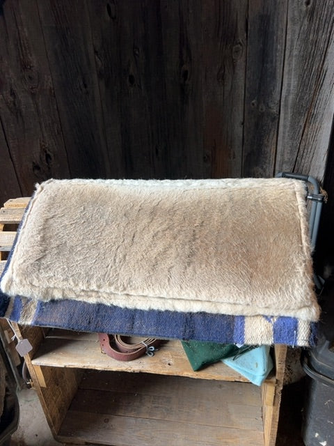 Blue/Tan Professional Choice 20x Saddle Pad, 29x31