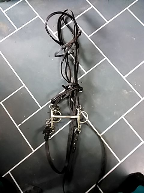 Brown Bridle with 4 3/4" Mullen Mouth Pelham, Full