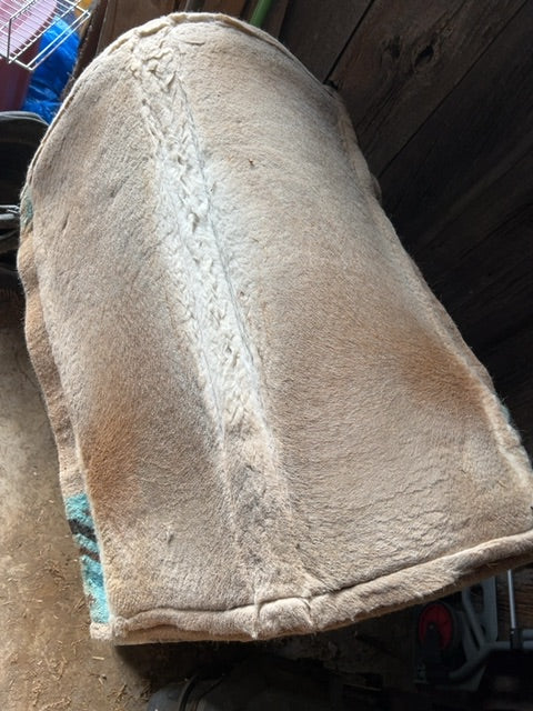 Beige/Blue Professional Choice 20x Saddle Pad, 33x36