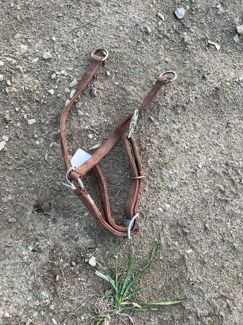 Red Nylon Training Fork