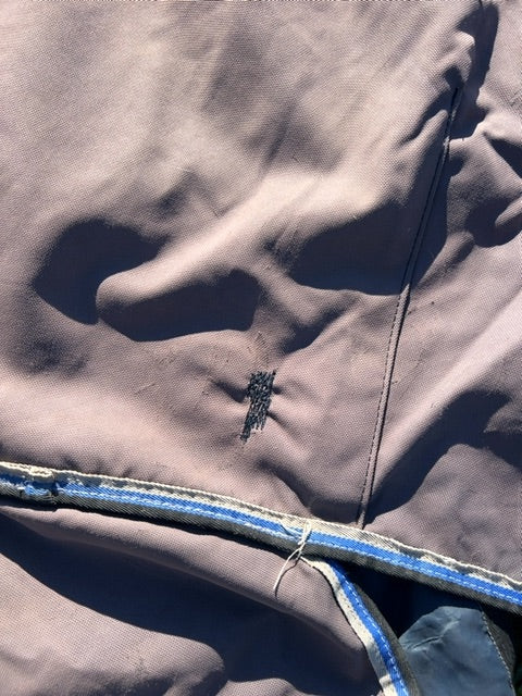 Grey Amigo Bravo 12 Plus Lite Turnout, 75”