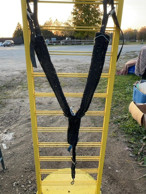 Royal blue Breast Collar