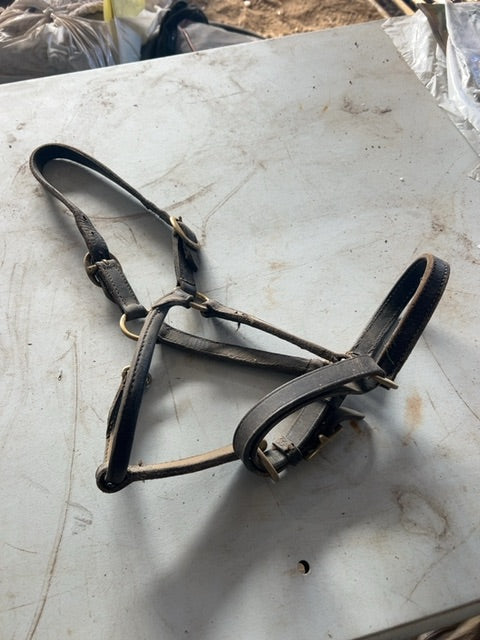 Brown Leather Halter, Cob
