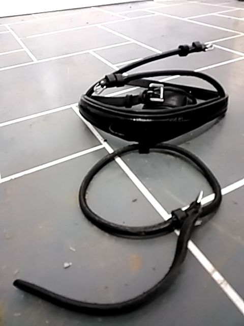 Black Lemiere Nose band with flash, Full