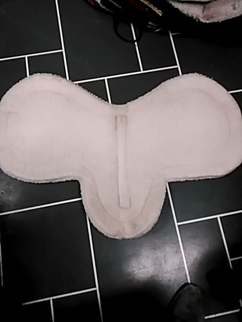 White Hunter pad, Pony