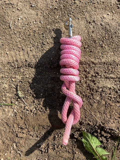 Pink Lead, Pony