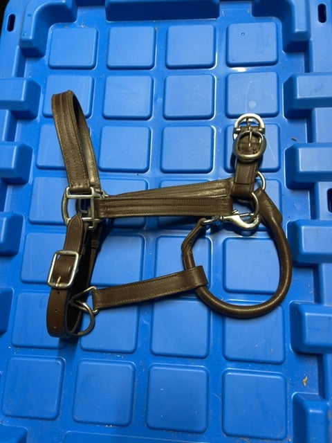 Brown Leathe Halter, Full