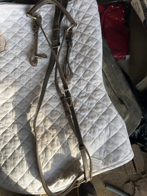 Brown Connemara Martingale, horse