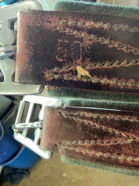 Brown Leather Girth, 50”