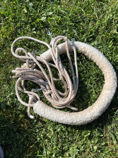 White Pessoa Lunging Rig, Full