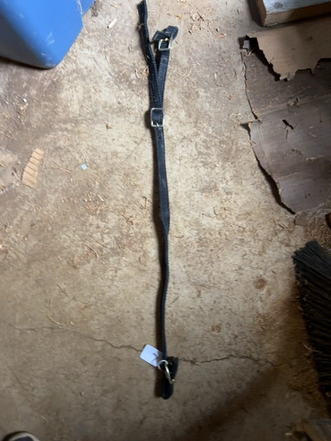 Black Tie Down Strap