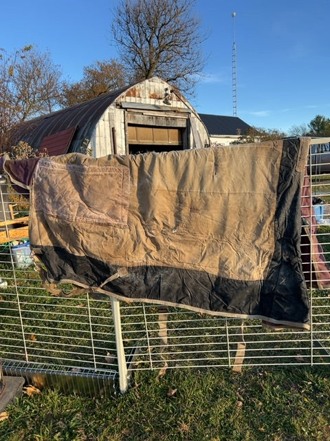 Purple Saxon Winter, 75