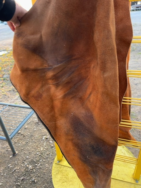 Brown Richvale Full Chaps