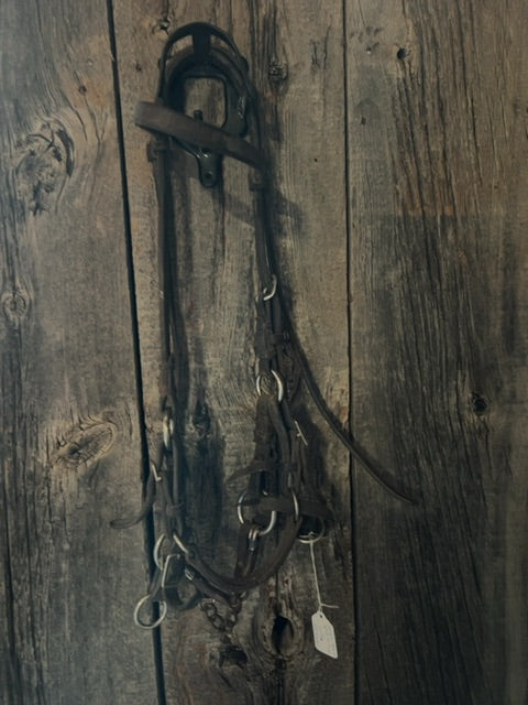 Brown Training bridle with sidepull, Horse