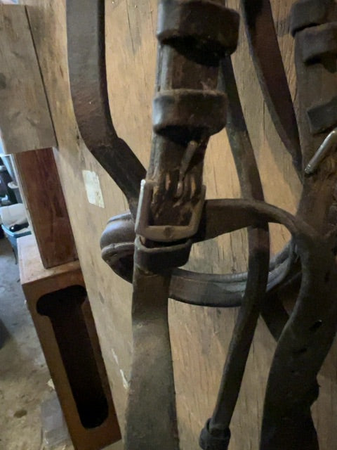 Brown Headstall, Full