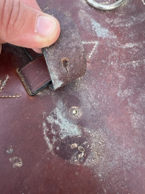 Brown Belly Girth, 50"