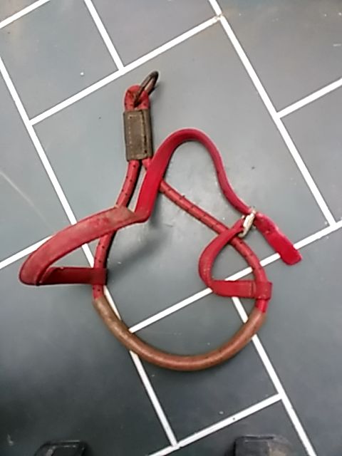 Red Bungee Noseband
