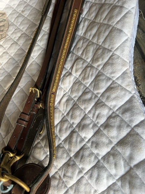 Brown with Brass Equipe Martingale with Running Att, Full