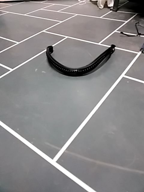 Black Browband, Horse