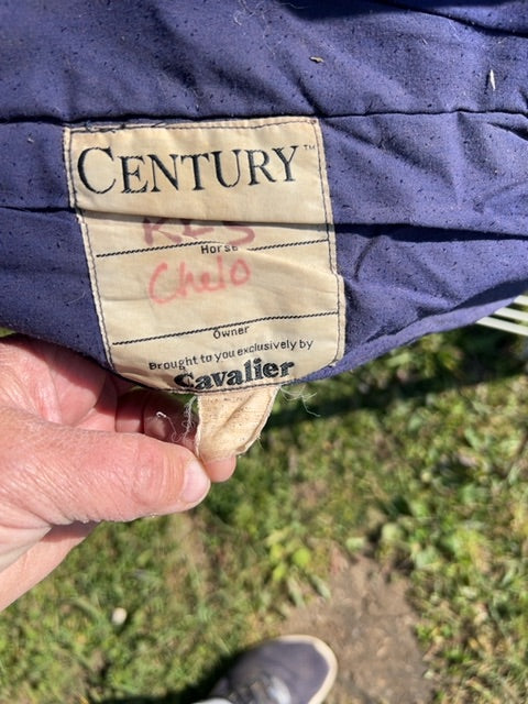 Blue Century Stable, 72