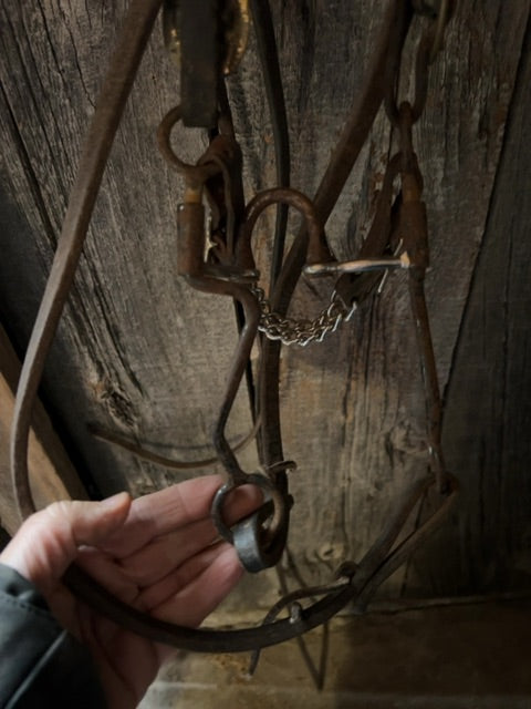 One Ear Bridle with 5" bit, Full