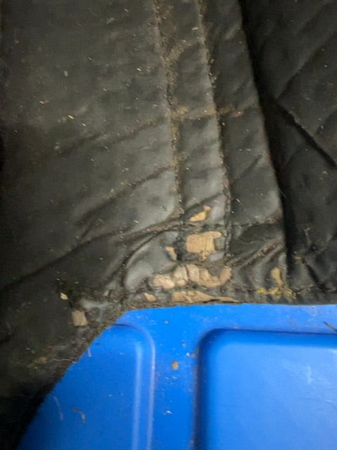 Black Ecogold Excercise Boots, Medium