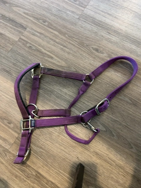 Purple Shires Breakaway Halter, Full