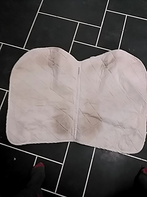 White Saddle Pad, Pony