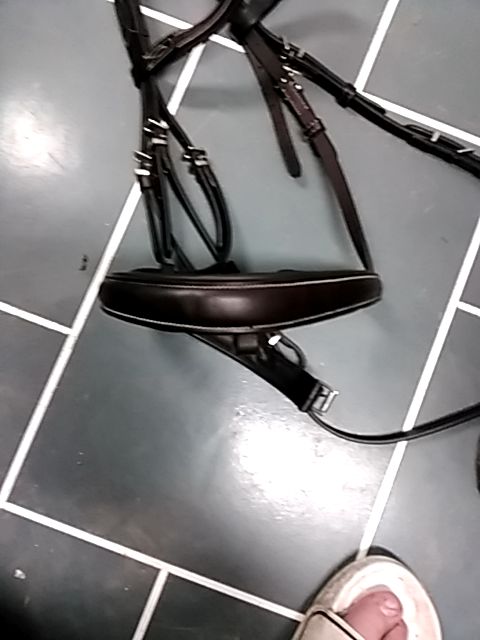 Chocolate Mondega head stall Bridle, Full