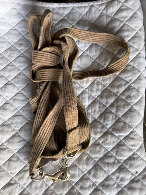 Beige Web Draw Reins