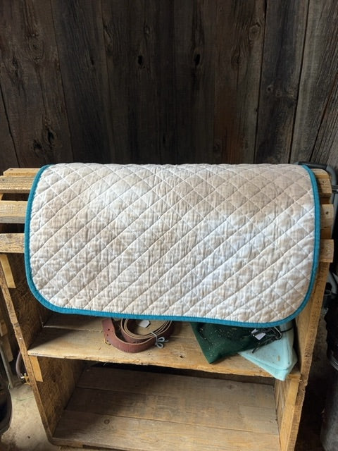White with Teal Shedrow Baby Pad, Full