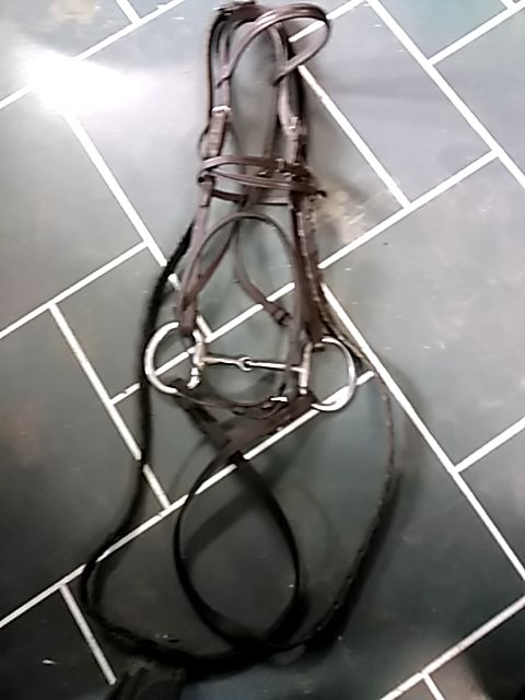 Brown Bridle with 5" Eggbutt, Warmblood