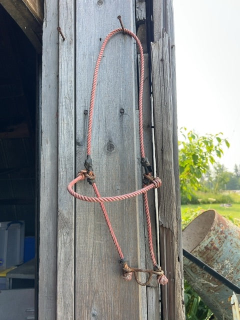 Red Rope Noseband