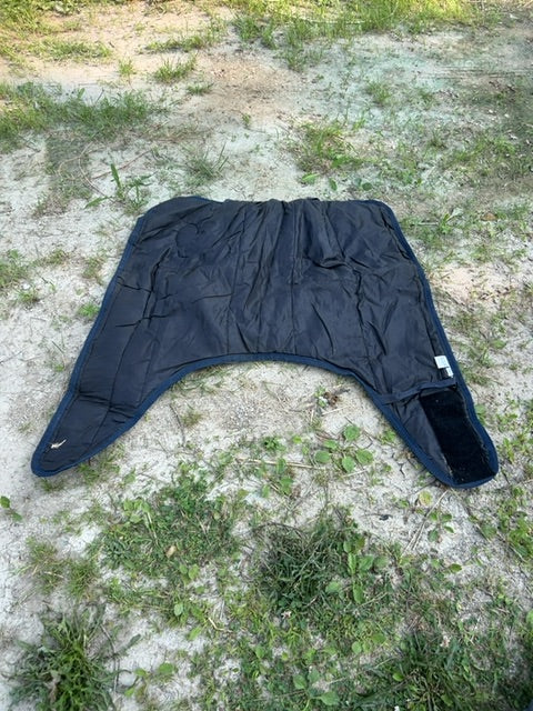 Plaid Goliath Winter, Foal