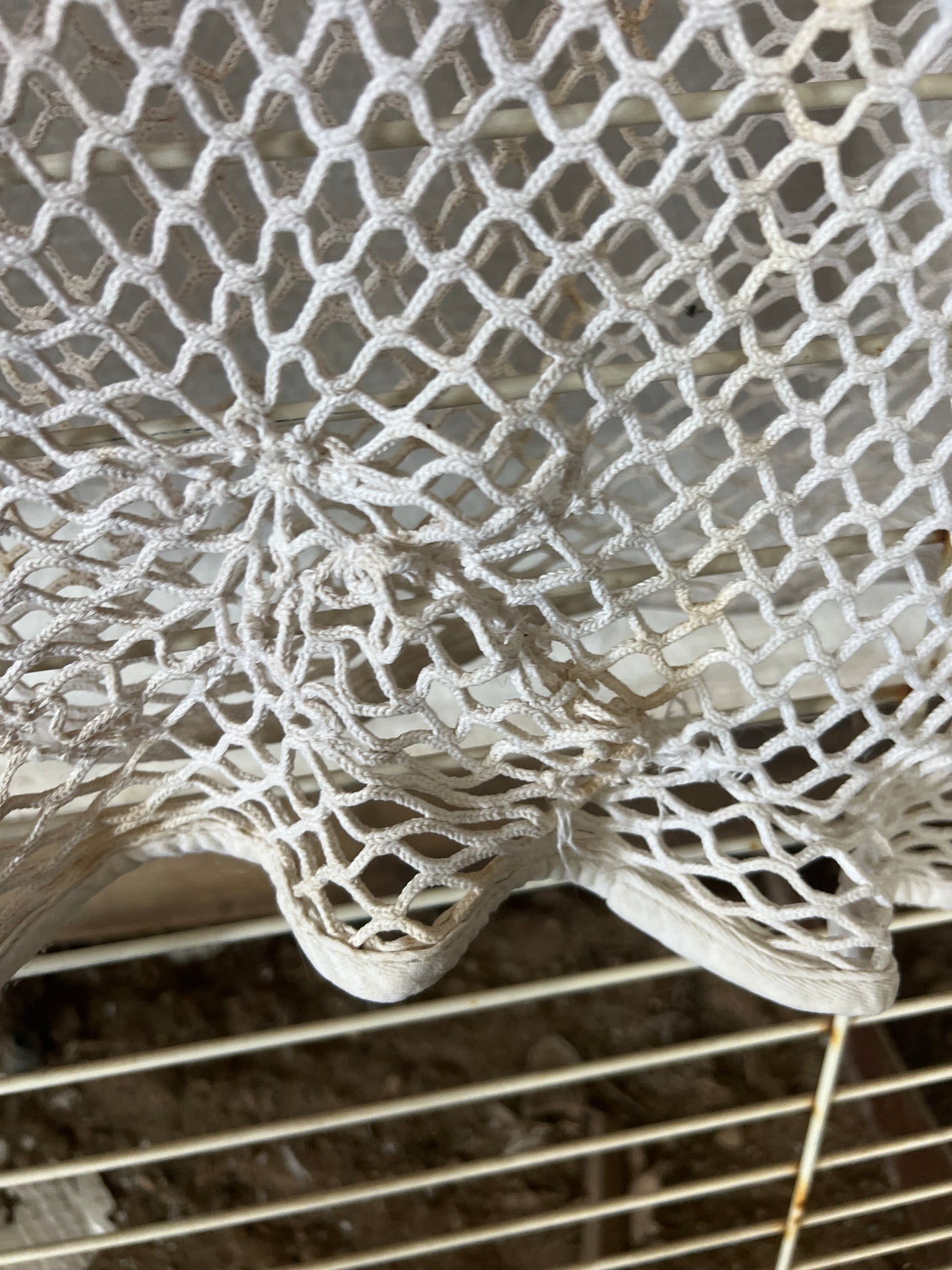 White  Scrim, 62"