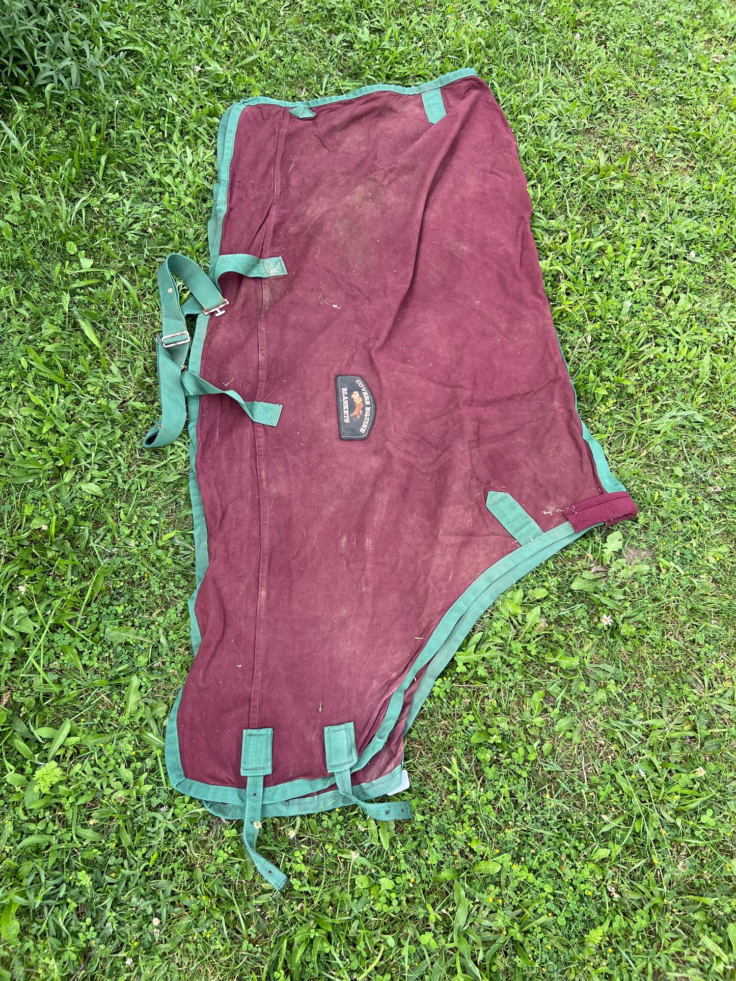Burgundy  Cotton Cooler, 66"