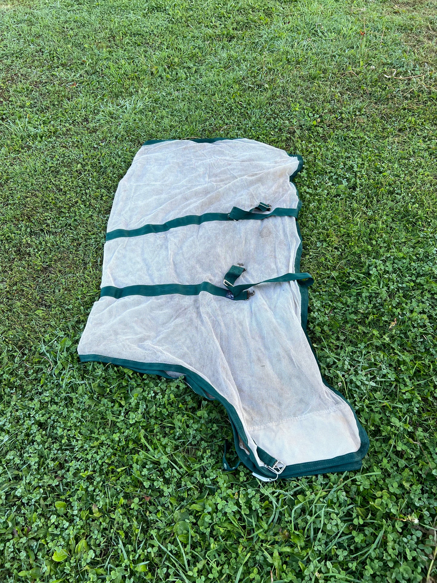 White with Green Binding Jack's Scrim, 76"