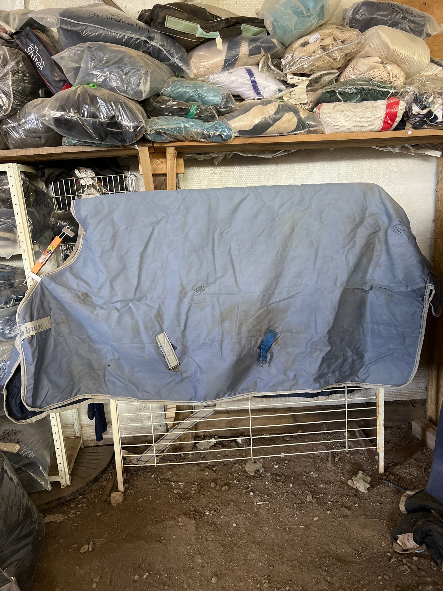 Blue Bucas Freedom 300 gm Turnout, 81"