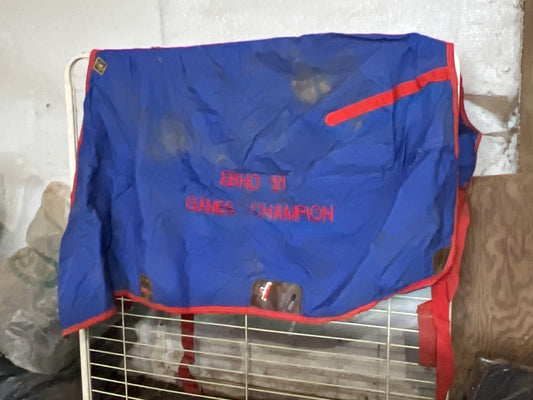 Blue Big D Nylon Stable Sheet, 69"