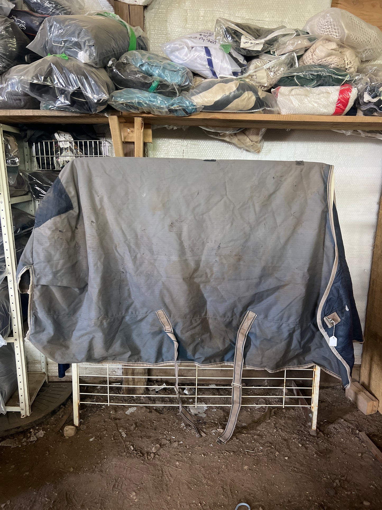 Blue Bucas Freedom Turnout, 72"