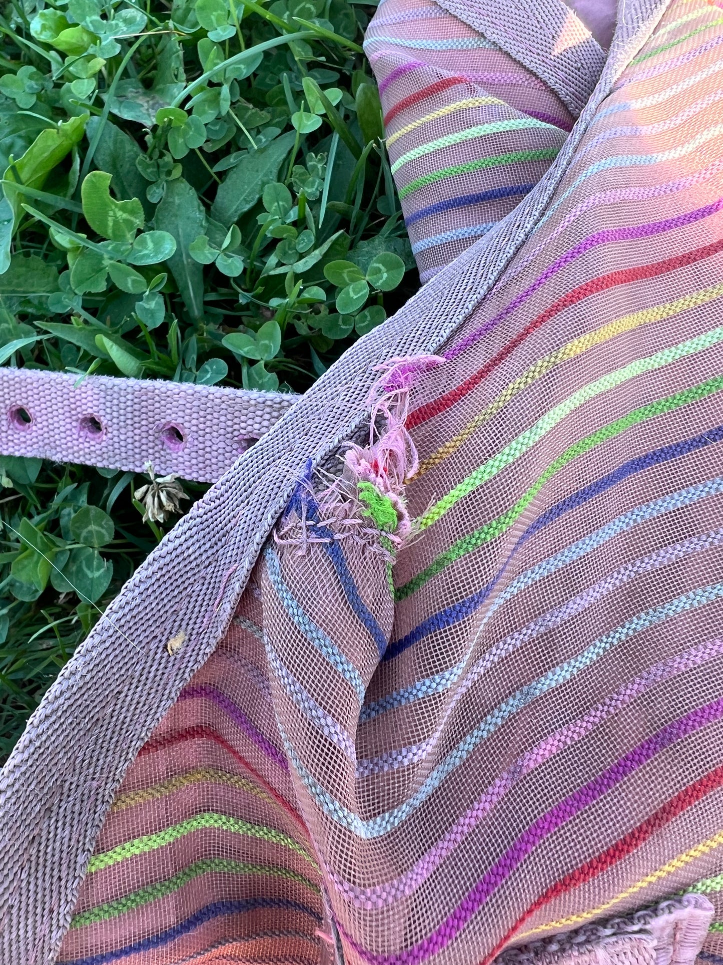 Pink/Purple Stripe Weatherbeeta Fly Sheet, 66"